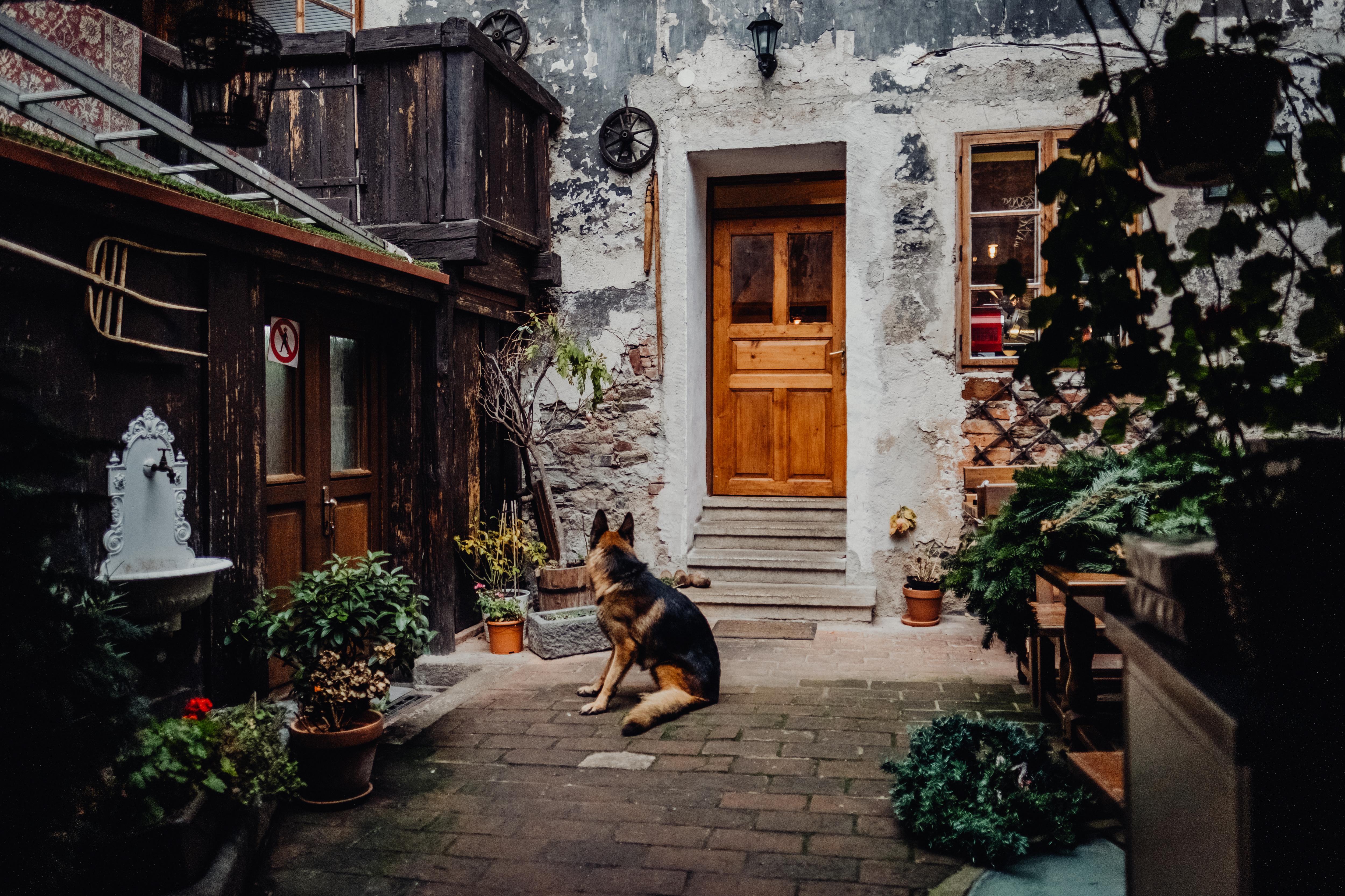 Krumlovska Pohadka Чеський Крумлов Екстер'єр фото
